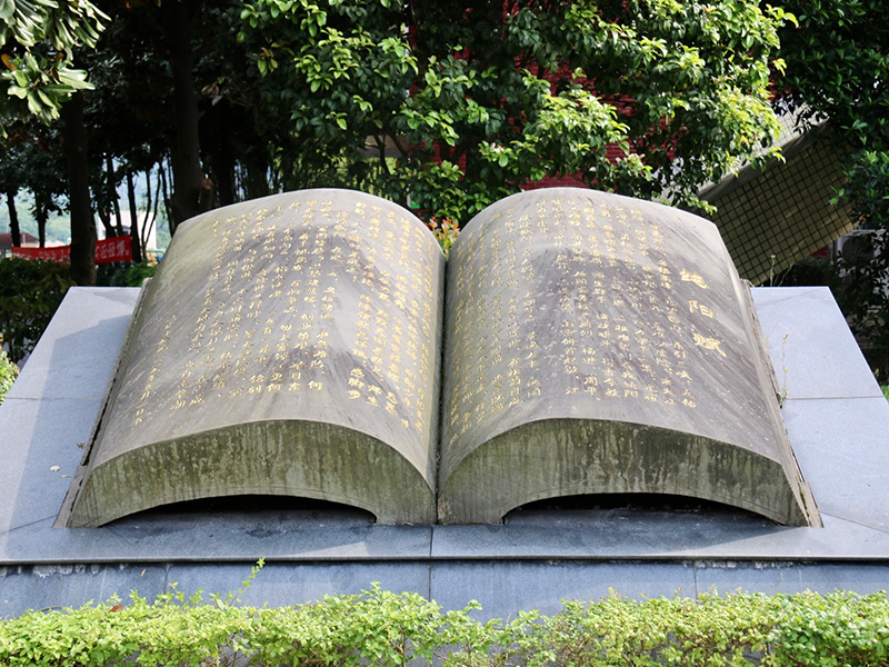 学校环境