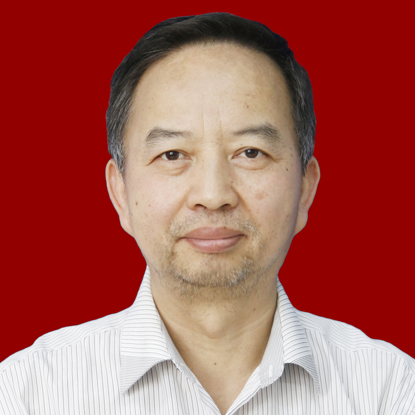 杨胜 党支部书记