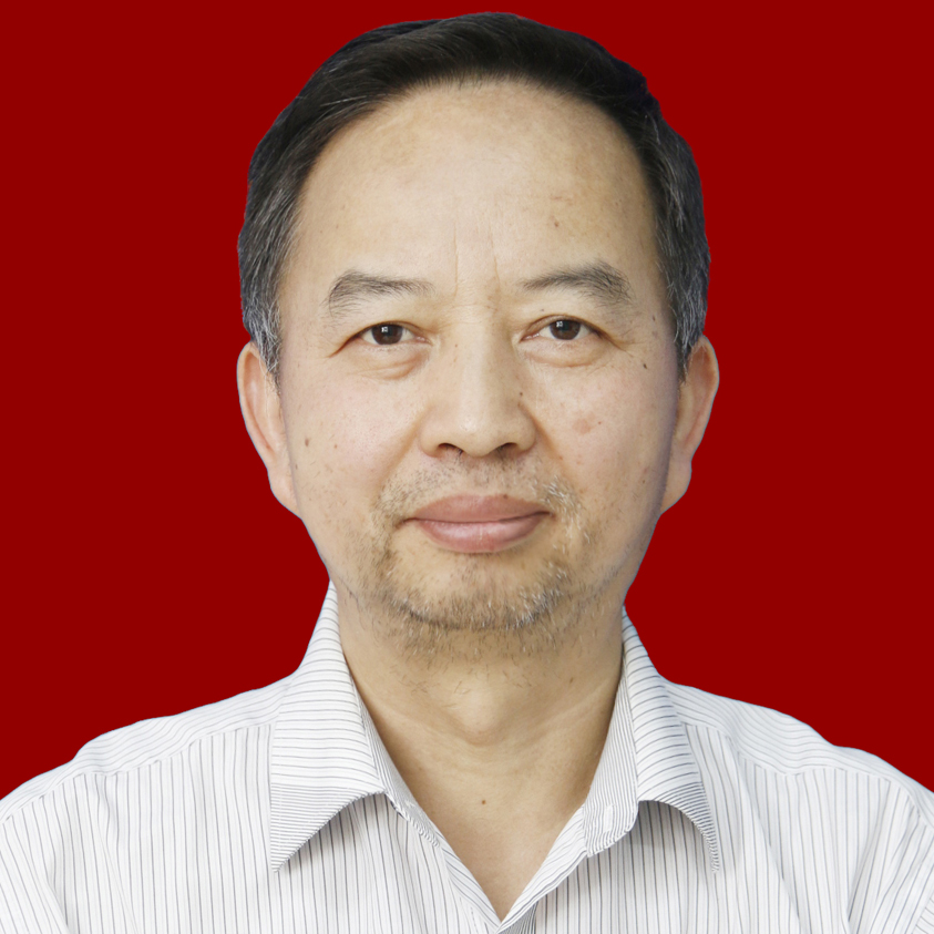 杨胜 党支部书记